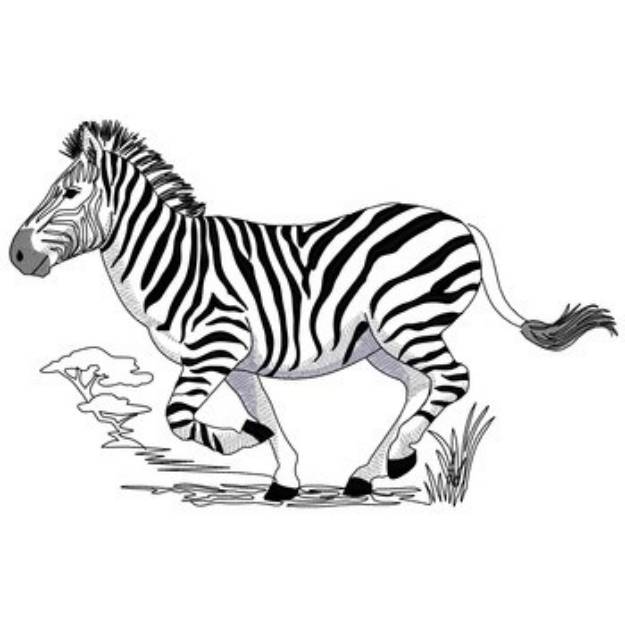Picture of Running Zebra Machine Embroidery Design
