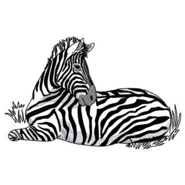 Picture of Zebra Lying Down Machine Embroidery Design