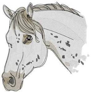 Picture of Appaloosa Head Machine Embroidery Design