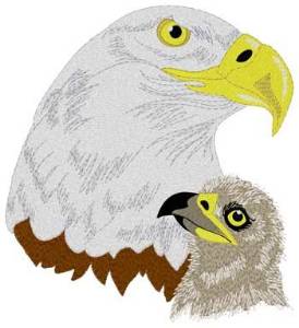 Picture of Momma Eagle & Eaglet Machine Embroidery Design