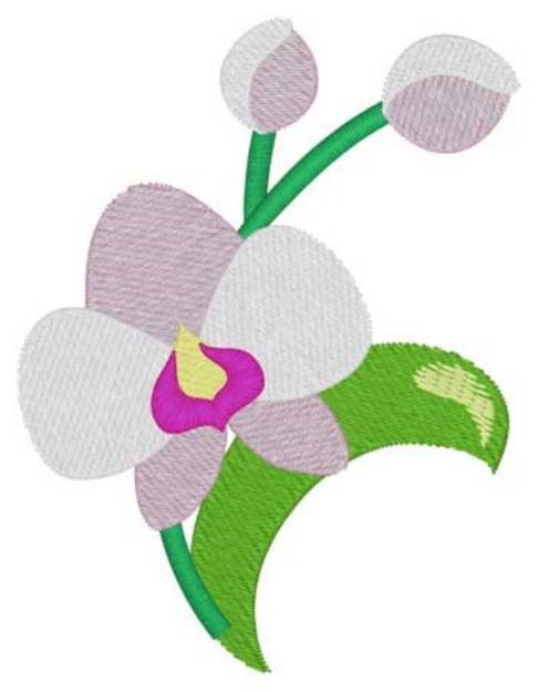 Picture of Oriental Orchid Machine Embroidery Design
