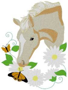 Picture of Palomino Pony Machine Embroidery Design