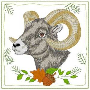 Picture of Big Horn Sheep Quilt Square Machine Embroidery Design