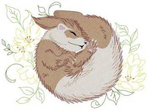 Picture of Sleeping Ferret Machine Embroidery Design