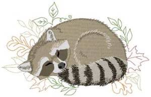 Picture of Sleeping Raccoon Machine Embroidery Design