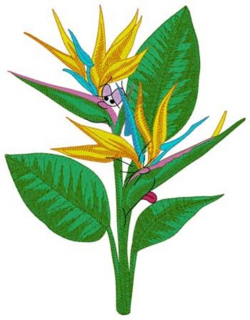 Picture of Bird Of Paradise Cartoon Machine Embroidery Design