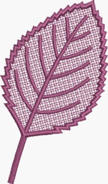 Picture of FSL Elm Leaf Machine Embroidery Design