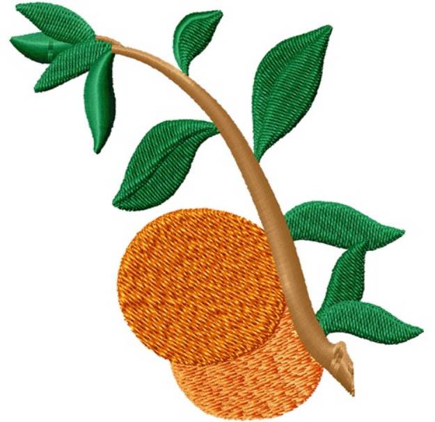Picture of Citrus Branch Machine Embroidery Design