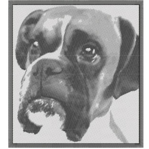 Picture of BOXER CANINE REALISTIC Machine Embroidery Design
