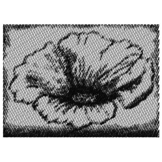 Picture of POPPY FLOWER SMALL Machine Embroidery Design