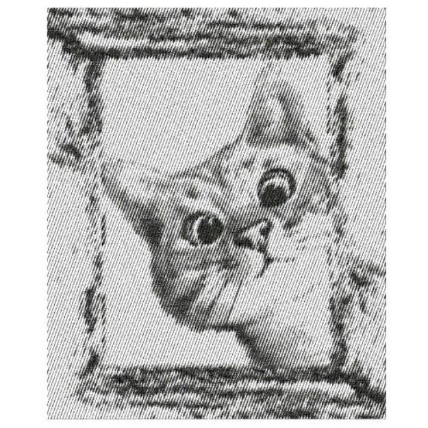 Picture of KITTY CAT PEEPING Machine Embroidery Design