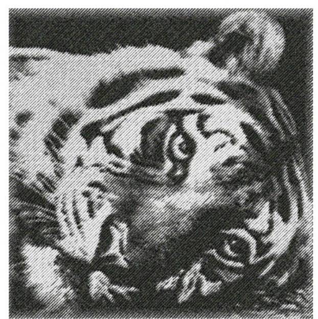 Picture of TIGER RESTING Machine Embroidery Design