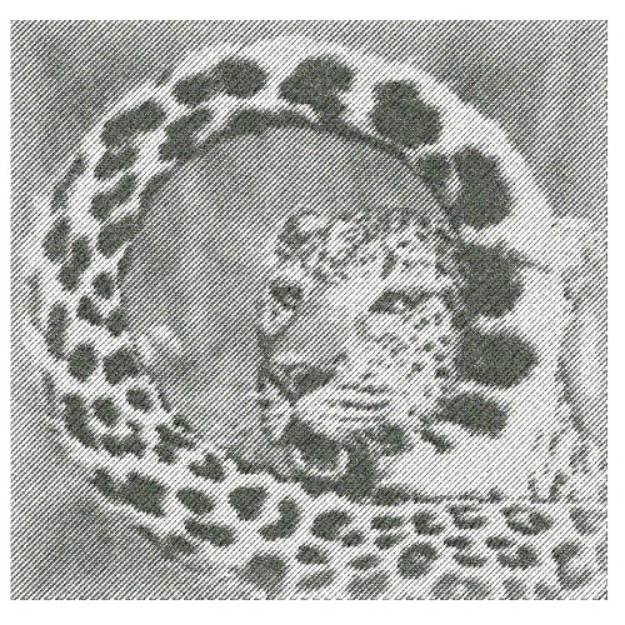 Picture of Cheetah Machine Embroidery Design