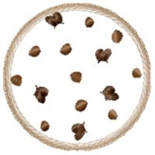 Picture of Circle Of Acorns Machine Embroidery Design