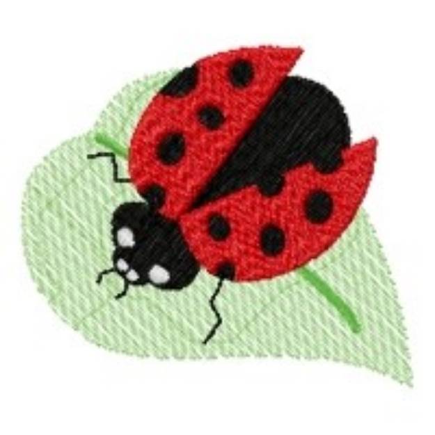 Picture of Ladybug Leaf Machine Embroidery Design
