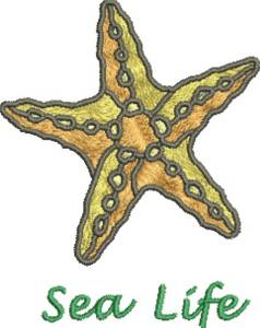 Picture of Starfish Sea Life Machine Embroidery Design