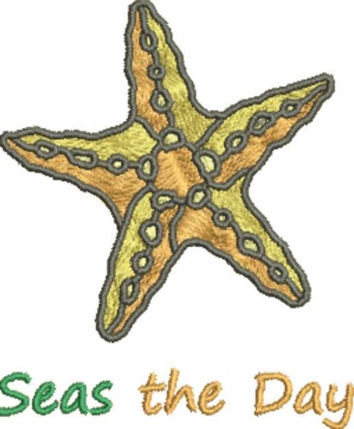 Picture of Starfish Seas The Day Machine Embroidery Design