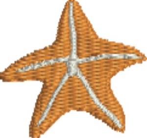Picture of Starfish
