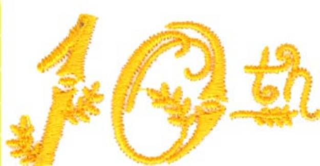Picture of 10th Birthday Machine Embroidery Design