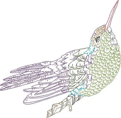 Colorful Hummingbird Machine Embroidery Design
