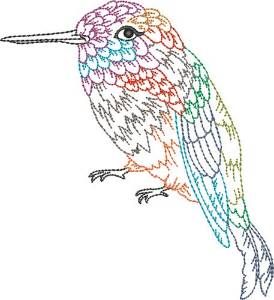 Picture of Hummingbird Outline
