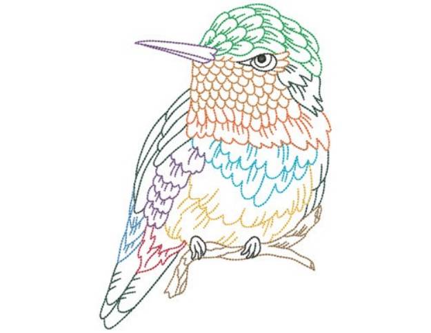 Picture of Hummingbird Machine Embroidery Design