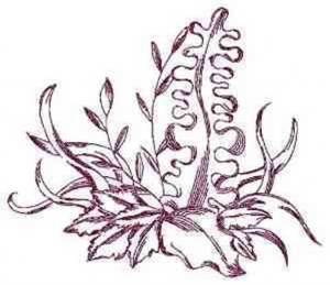 Picture of Redwork Ferns Machine Embroidery Design