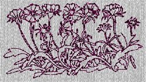 Layia Redwork Machine Embroidery Design