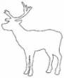 Picture of Animal Outline Redwork Machine Embroidery Design
