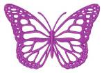 Picture of Butterfly Outline