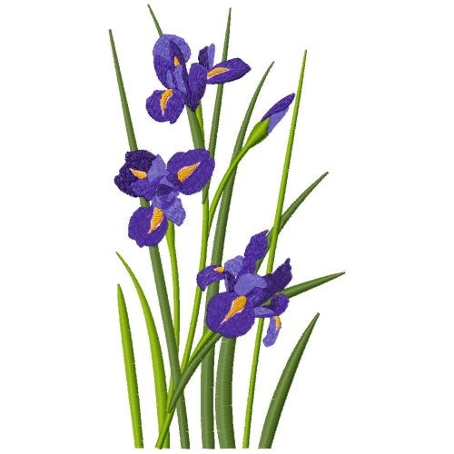 Iris Flowers Machine Embroidery Design