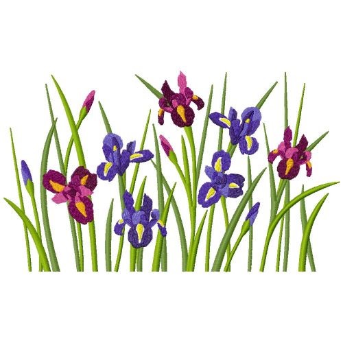 Iris Blooms Machine Embroidery Design