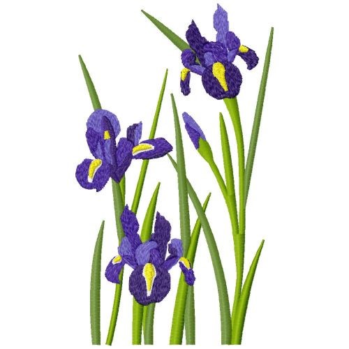 Bearded Irises Machine Embroidery Design