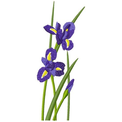 Bearded Iris Blooms Machine Embroidery Design