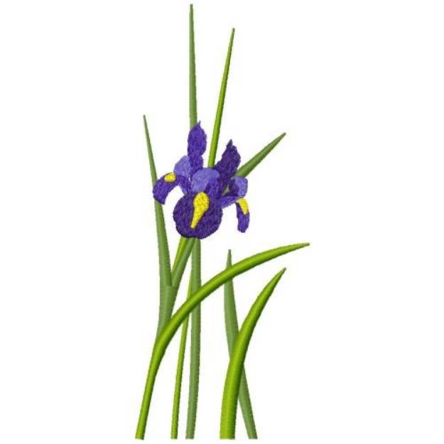 Picture of Iris Bloom Machine Embroidery Design