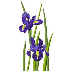 Picture of Iris Blooms Machine Embroidery Design