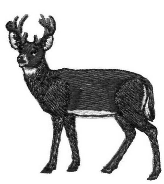 Picture of White Tail Deer Machine Embroidery Design