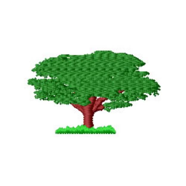 Picture of Walnut Tree Machine Embroidery Design