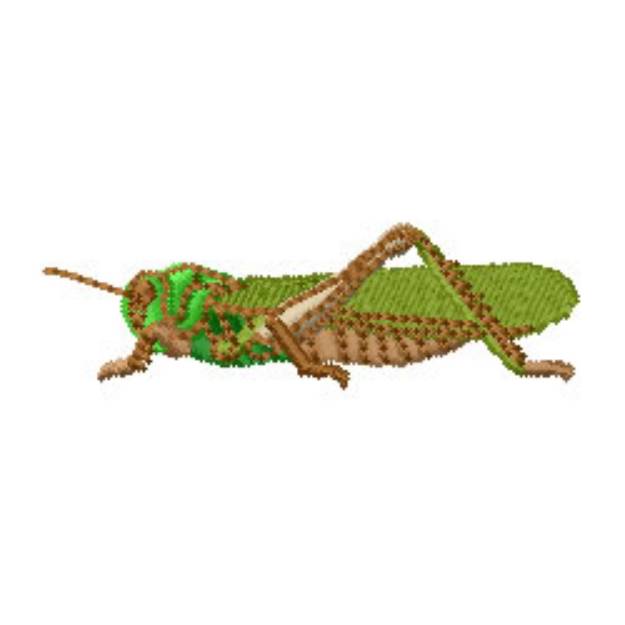 Picture of Grasshopper Machine Embroidery Design