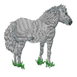 Horse Machine Embroidery Design
