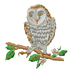 Barn Owl Machine Embroidery Design