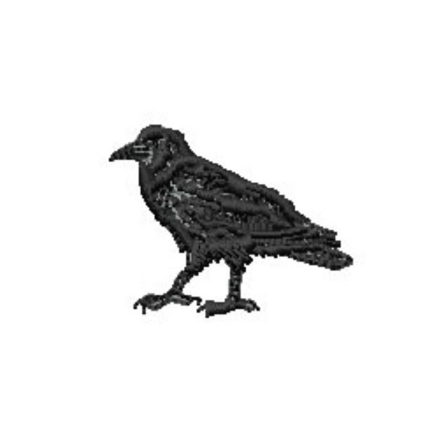 Picture of Black Crow Machine Embroidery Design