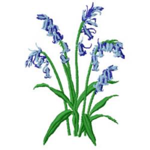 Picture of Bluebells Machine Embroidery Design