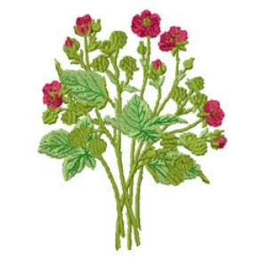 Picture of Scarlet Blossoms Machine Embroidery Design