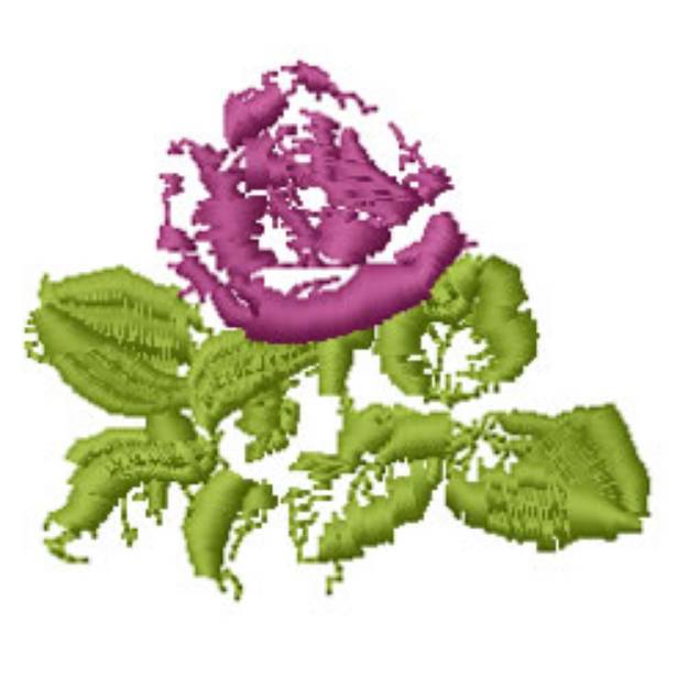 Picture of Purple Rose Machine Embroidery Design