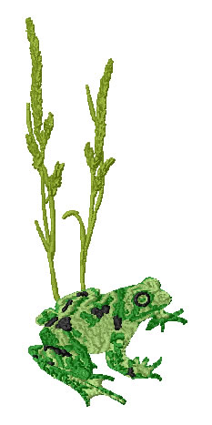Green Frog Machine Embroidery Design