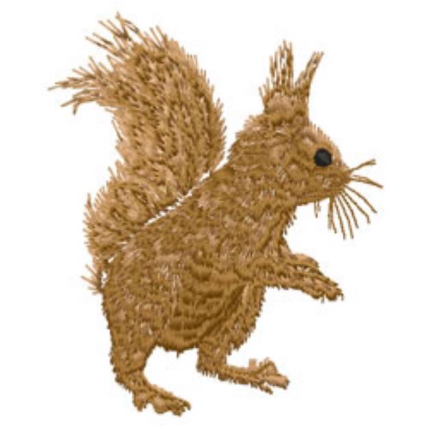Picture of Squirrel Machine Embroidery Design