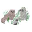 Picture of Cats Machine Embroidery Design