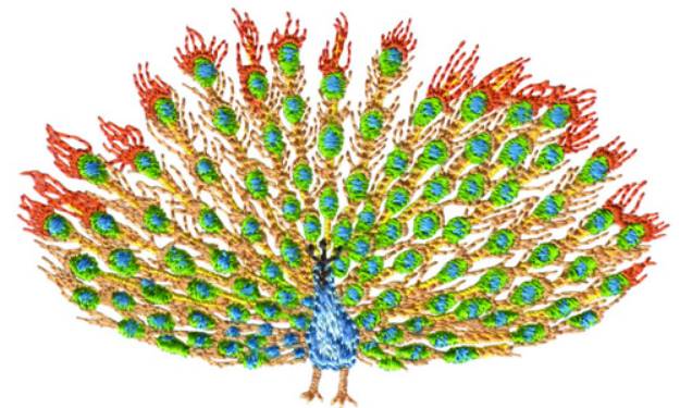 Picture of Peacock Displaying Machine Embroidery Design