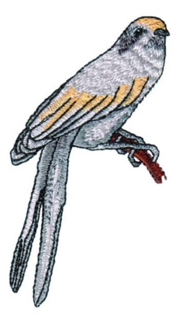 Picture of Long Tailed Bird Machine Embroidery Design